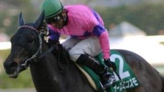 重賞3勝オースミコスモの最後の仔 ドーンコスモが待望デビュー