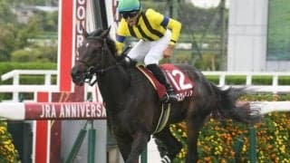 【阪神牝馬S想定馬・騎手】マスクトディーヴァ、スピーディキックなど11頭