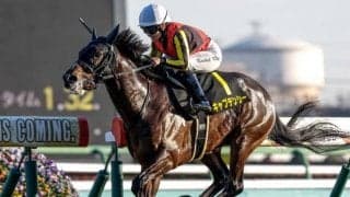 【ニュージーランドT想定馬・騎手】キャプテンシー、エコロブルームなど17頭