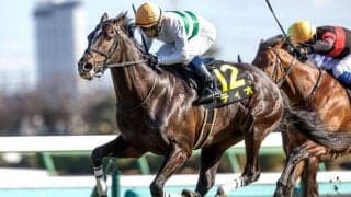 【今日の注目ポイント】中山でダービー卿CTと深夜にはドバイWCデー