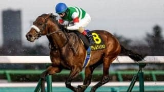 【ダービー卿CT予想】トリッキーな中山1600m×ハンデ戦＝1番人気＆トップハンデ不振で難解な一戦に