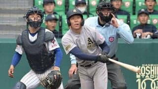 10本揃えた木製バット「何本折ってもいい」　15万円の負担も…背中押す親の愛情