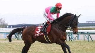 超一線級不在の大阪杯なら「ＧＩだとパンチ力不足」という評価の伏兵にもチャンスあり