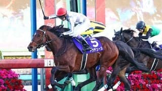 【ドバイターフ／馬単7点】「ドウデュース以上のベスト舞台」　“妙味たっぷり”のここでGI初制覇も視野