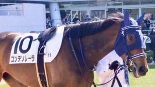 【中山1R】ダート替わりでコンテソレーラが初勝利