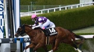 【ポラリスS結果】断然人気のサンライズフレイムが突き抜けV