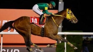 【ドバイワールドC／馬連5点】ウシュバテソーロ上回る自在性で“逆転候補”　サウジC覇者もバッサリ