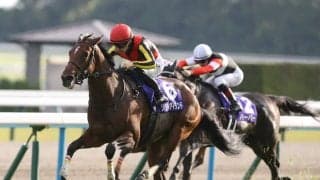 【ドバイシーマC／3連単24点】2017年以降1人気の勝利「1回のみ」で“過信禁物”　堅実2頭軸マルチで攻略