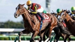 【大阪杯前日オッズ】ローシャムパークが4.7倍で1番人気