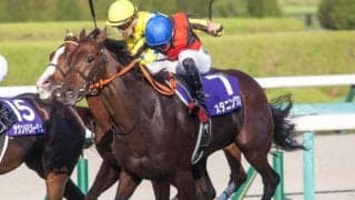 阪神芝内回りは乾いて内有利に変化？ 大阪杯はスタニングローズの秋華賞再現Vだ