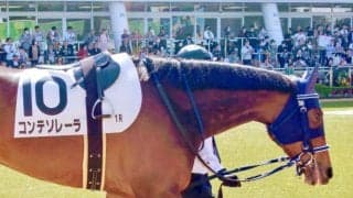 【中山1R】津村「良いレースでした」コンテソレーラが初勝利