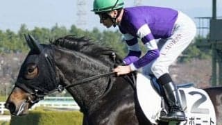 黒船賞で復活Vのシャマルに続け 半妹は芝で連勝狙う