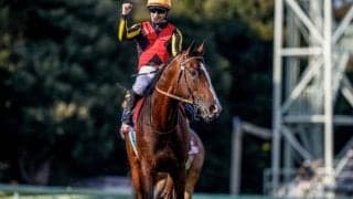 【AI予想・大阪杯】年齢と前走の距離は要チェック！ 前走の敗因明確で変わり身十分の本命とは