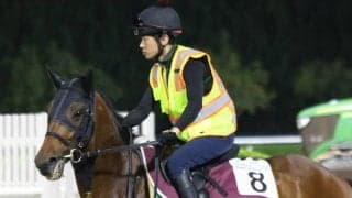 【ドバイゴールドC結果】アイルランドのタワーオブロンドンが突き抜けV 日本勢は着外