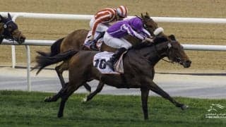 【ドバイゴールドカップ】日本勢は着外…ムーア騎乗、タワーオブロンドンがV