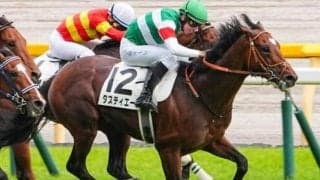 霜降り明星・粗品は昨年のダービー馬に◎ 大阪杯で3連単32点勝負