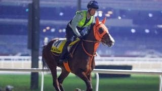 【ドバイターフ結果】フランスのファクトゥールシュヴァルがV ナミュール僅差の2着