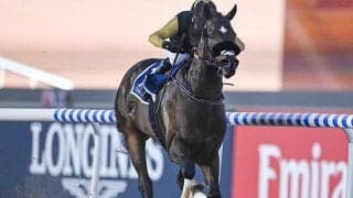 【ドバイゴールデンシャヒーン結果】地元のタズが完勝 日本のドンフランキー2着