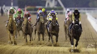 【ドバイゴールデンシャヒーン】地方所属イグナイターは健闘の5着