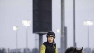 【ドバイゴールデンシャヒーン】日本勢はドンフランキーが2着…勝利したのはUAEのタズが完勝