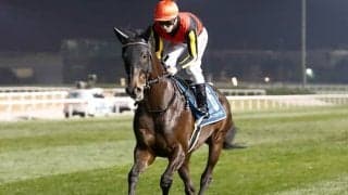 【ドバイシーマクラシック結果】地元のレベルスロマンスV シャフリヤール2着、リバティアイランド3着