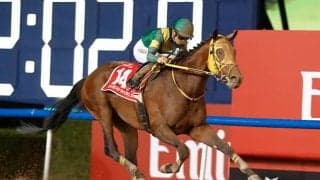 【ドバイワールドC結果】地元のローレルリバーが圧勝 ウシュバテソーロ連覇ならず2着