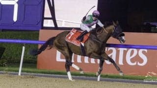 【ドバイワールドカップ】連覇を狙ったウシュバテソーロは2着まで…UAEローレルリバーが圧勝