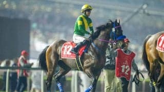 【ドバイワールドカップ】原優介「馬は頑張ってくれました」ウィルソンテソーロは健闘の4着