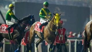 【ドバイワールドカップ】高木師「1頭強い馬がいた」連覇ならず2着
