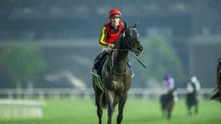 【ドバイシーマクラシック】藤原英師「馬に感謝しかないです」シャフリヤールが2着に好走