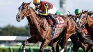 【大阪杯予想】勝てない関東馬リベンジなるか？ 過去レースデータから探るGI大阪杯