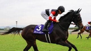 大阪杯は好配当をゲットする絶好の機会　人気先行の４歳牡馬より、ＧＩ未勝利の実力馬を狙え