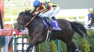 阪神芝は上々のコンディション 好枠から先行できるスタニングローズに要注目