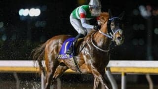 【川崎記念枠順】今年からナイター＆春の開催 セラフィックコールは2枠2番