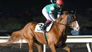 【川崎・クラウンC枠順】東京ダービーへの前哨戦 クニノトキメキは5枠6番