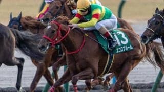 【ニュージーランドT】エコロブルーム、キャプテンシーらが登録