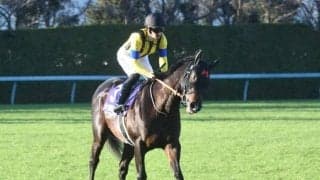 【皐月賞】ジャンタルマンタル、レガレイラらが登録