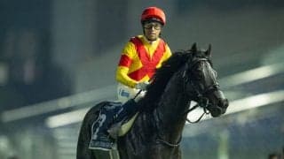 【ドバイシーマクラシック】モレイラ「バテずに良い脚を使ってくれた」ジャスティンパレスは4着