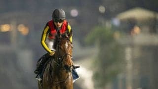 【ドバイシーマクラシック】川田「馬は精一杯頑張っていました」リバティアイランドは3着敗退