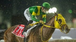 【ドバイワールドカップ】川田「はるか先に勝ち馬が…」ウシュバテソーロ連覇ならず2着