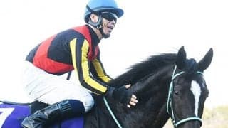 牝馬クラシック第一弾・桜花賞など3重賞/今週の競馬界の見どころ