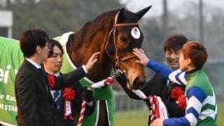 【先週のJRA抹消馬】重賞6勝を挙げたメイケイエール、昨年の府中牝馬S制したディヴィーナなど
