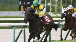 【阪神牝馬S想定騎手】マスクトディーヴァはJ.モレイラ騎手、モリアーナは横山典弘騎手