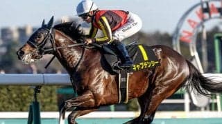 【ニュージーランドT想定騎手】キャプテンシーはM.デムーロ騎手、ボンドガールは武豊騎手