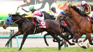 【日経賞】大混戦のゴール前！シュトルーヴェが馬群を割って差し切る