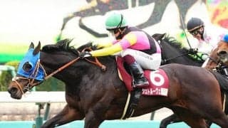 【日経賞】鮫島駿「力強さに感動した」シュトルーヴェが重賞初制覇