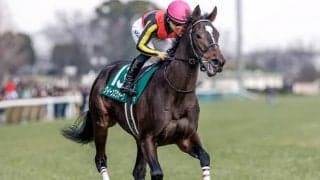 【桜花賞想定騎手】クイーンズウォークは川田将雅騎手、アスコリピチェーノは北村宏司騎手