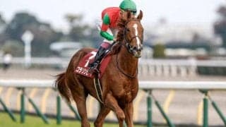 【AI予想・桜花賞】「近況のリズム」と「前走の距離」が勝負の分かれ目!? 人気馬の総崩れを示唆する人工知能の本命候補とは