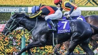 2歳女王のアスコリピチェーノ 史上9頭目の無敗で桜花賞Vなるか