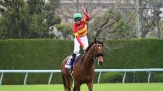 実力馬を打ち破りベラジオオペラがGI初制覇 成長の秘訣は“母父ハービンジャー”にあり